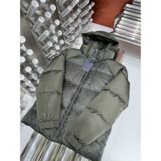 Louis Vuitton Down Jackets